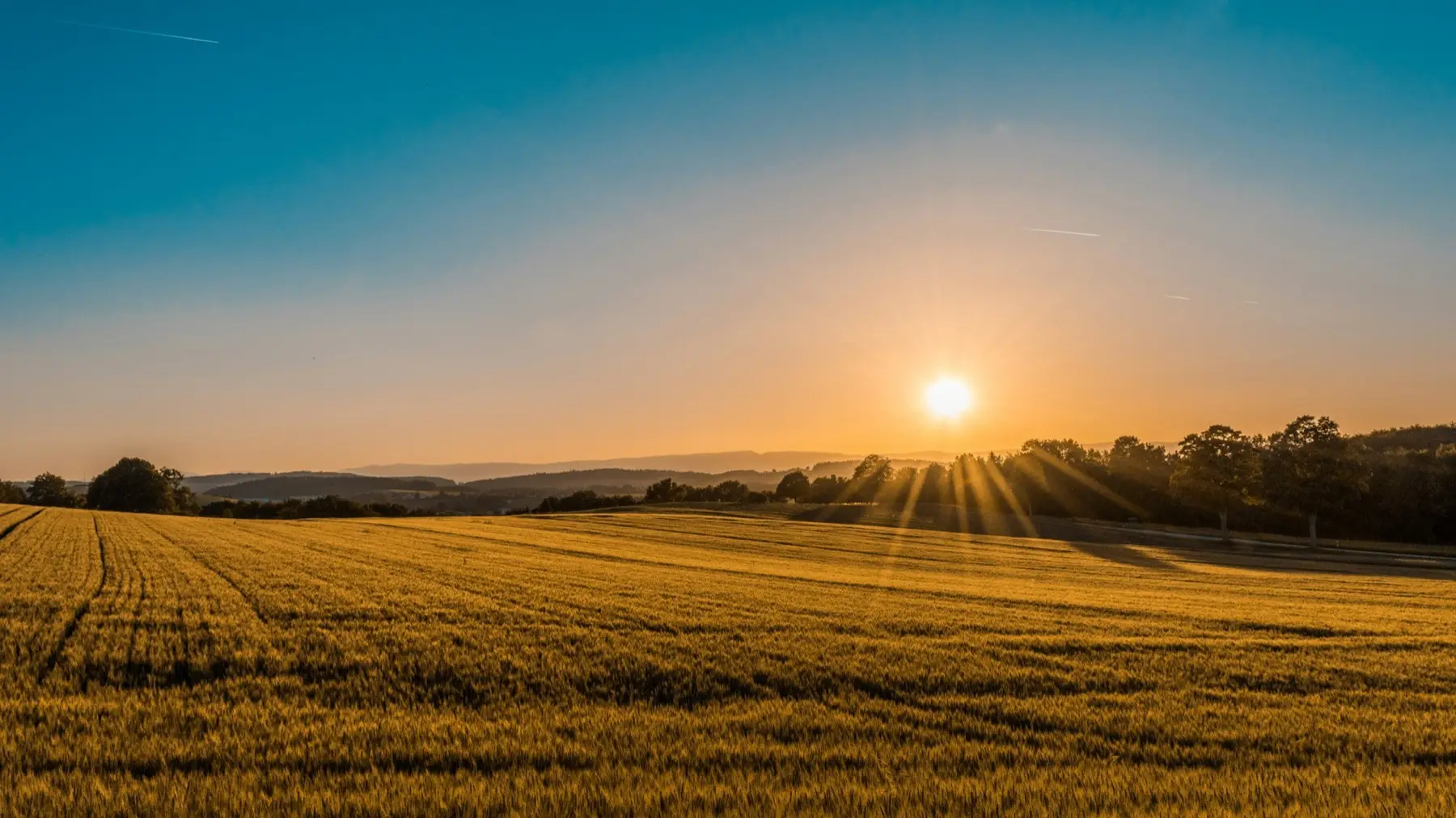 Environnement & agriculture